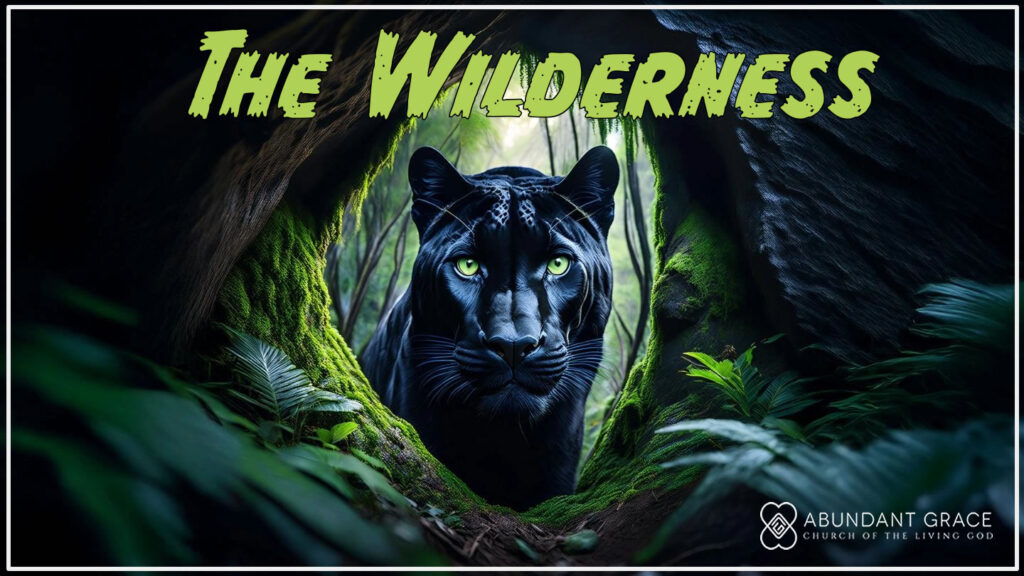 A ultra high resolution image professional of a wide angle faraway shot of the green eyes of a mean looking black panther staring out of the darkness of the cave that is covered with moss and trees situated deep in the forest at dusk