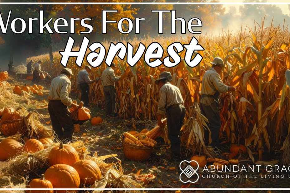 People harvesting on a fall day