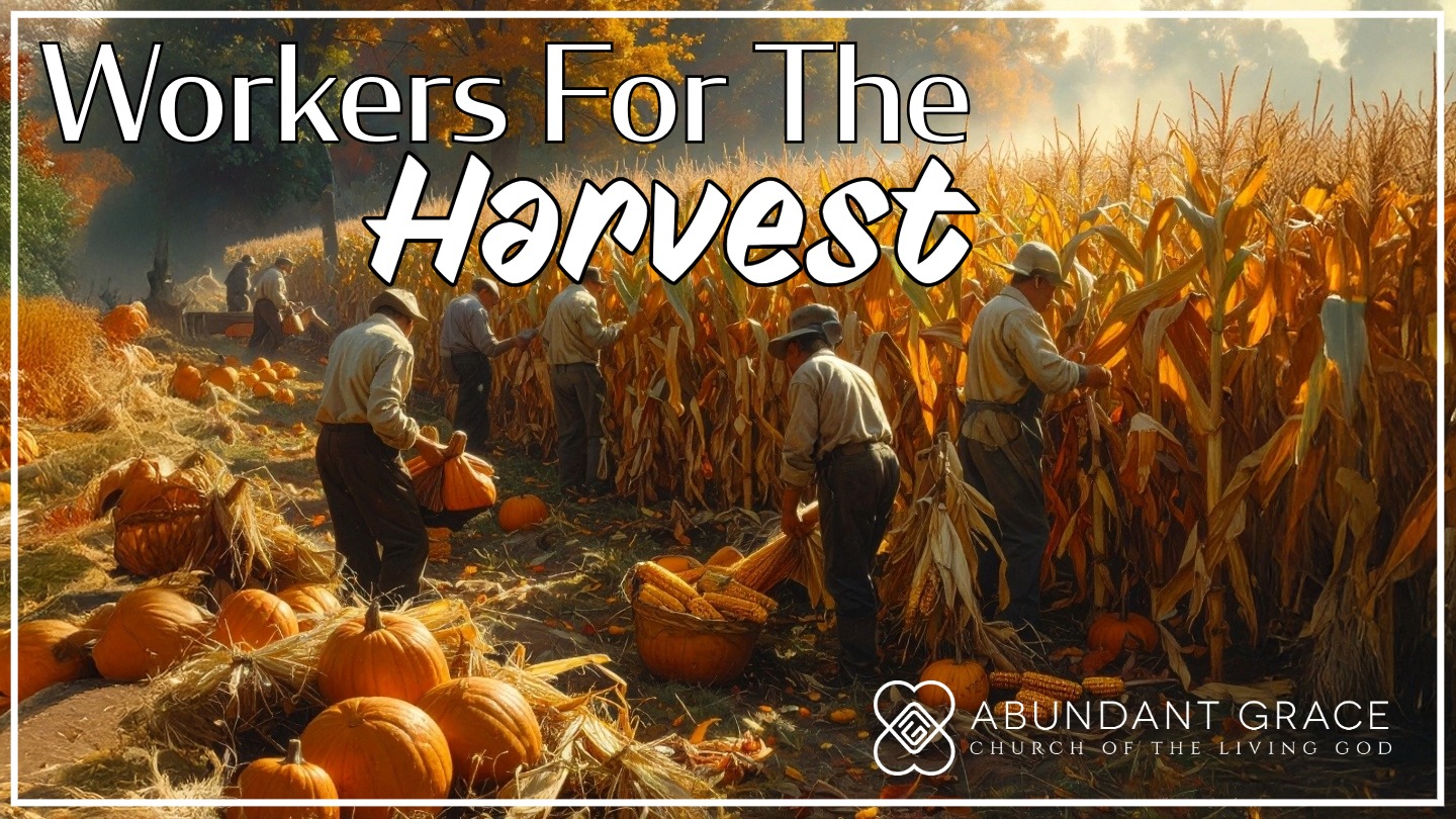 People harvesting on a fall day